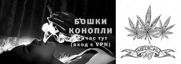 прущий лед Белокуриха