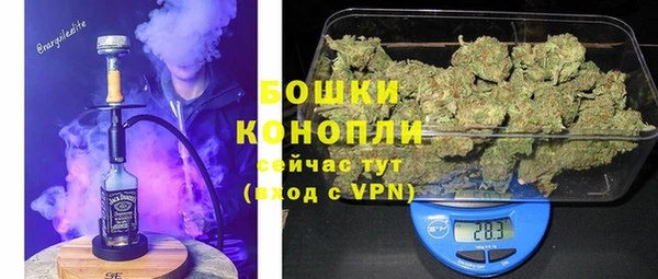 ГАЛЛЮЦИНОГЕННЫЕ ГРИБЫ Белоозёрский