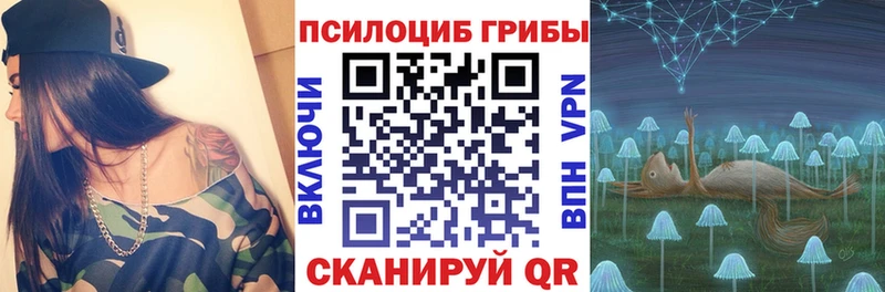 Галлюциногенные грибы мицелий  наркошоп  blacksprut ТОР  Южно-Сухокумск 